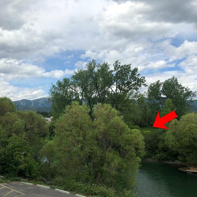 28 Miles Ave Unit 103, Whitefish, MT 59937
