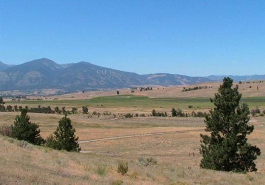 NHN Granite Creek Rd, Florence MT, 59833 land for sale