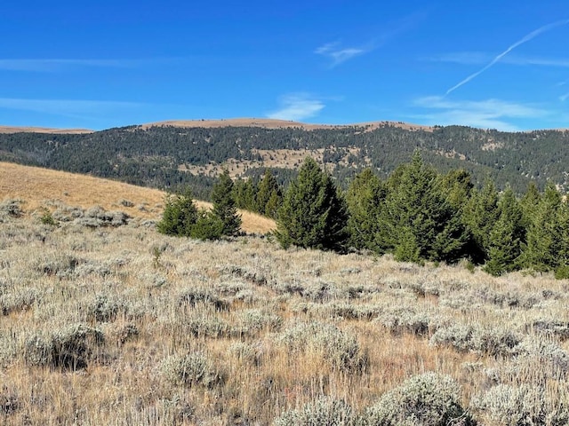 200 Mountain View Trl, White Sulphur Springs MT, 59645 land for sale