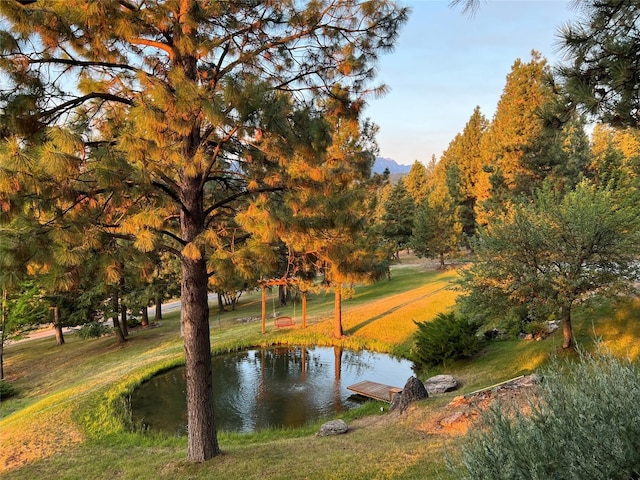 view of nearby features with a water view and a yard