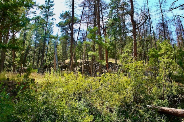 00 Box Canyon Ln, Cascade MT, 59421 land for sale