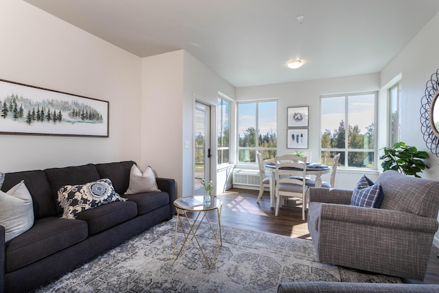 living room featuring dark hardwood / wood-style floors