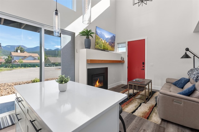 interior space featuring a mountain view, a high ceiling, and hardwood / wood-style flooring