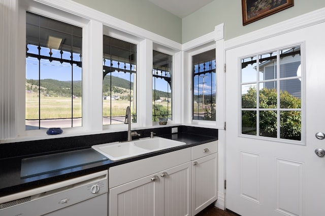 kitchen with sink, white cabinetry, and dishwasher