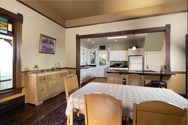 dining room featuring dark wood-type flooring and sink