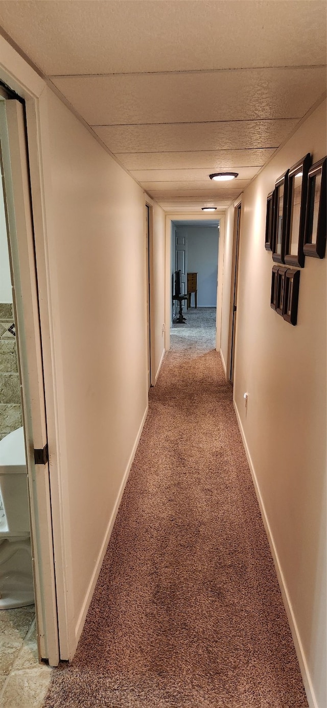 hall featuring carpet