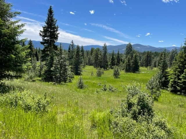 noaddress Green Mountain Road, Trout Creek MT, 59874 land for sale