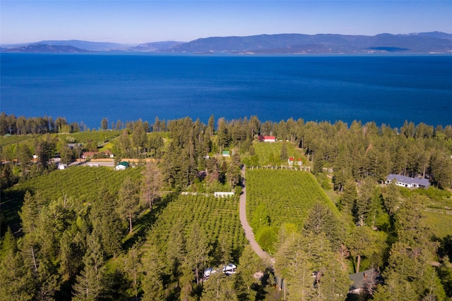 aerial view featuring a water and mountain view