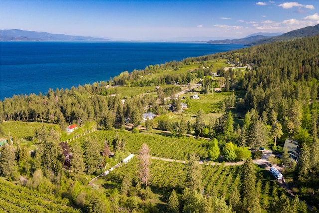 aerial view featuring a water and mountain view