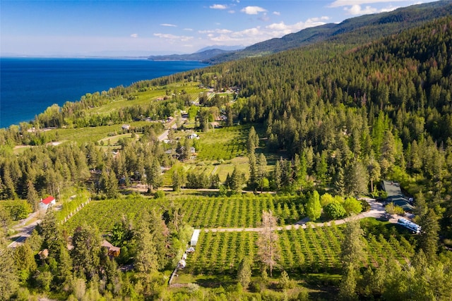 aerial view featuring a water and mountain view