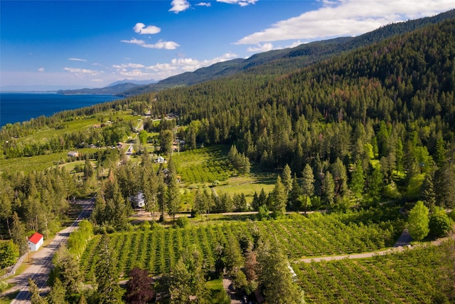 birds eye view of property featuring a water and mountain view