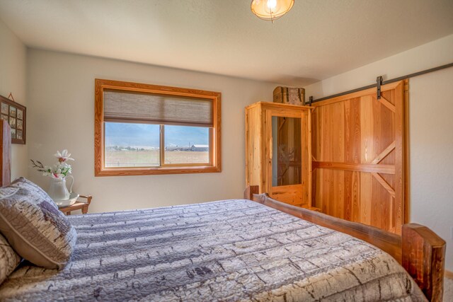 bedroom featuring a barn door