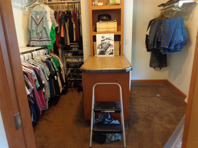 walk in closet featuring dark colored carpet