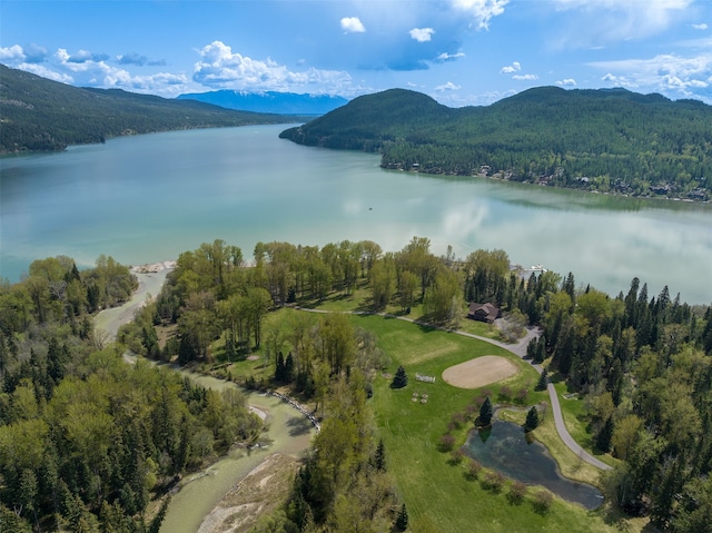 drone / aerial view with a water and mountain view