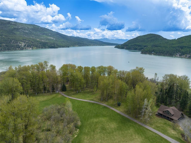 water view with a mountain view