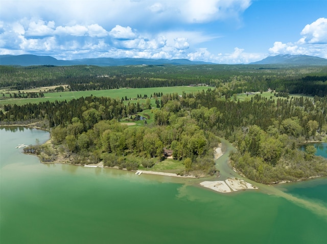 birds eye view of property featuring a water and mountain view