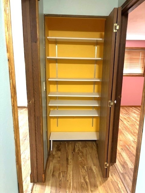 view of closet