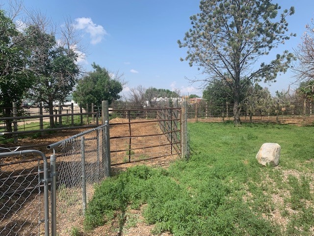 view of yard featuring a rural view