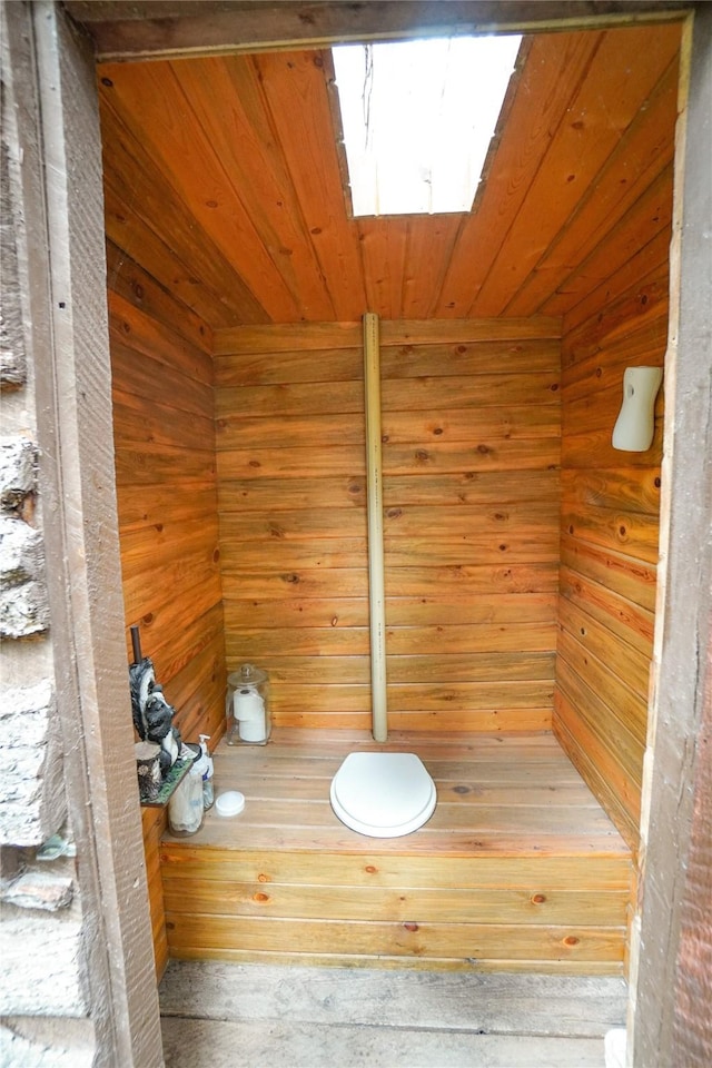 view of sauna / steam room featuring a skylight