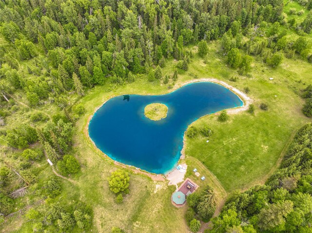 drone / aerial view with a water and mountain view