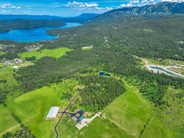 birds eye view of property with a water and mountain view