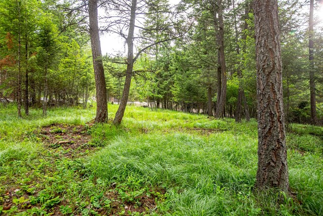 view of nature