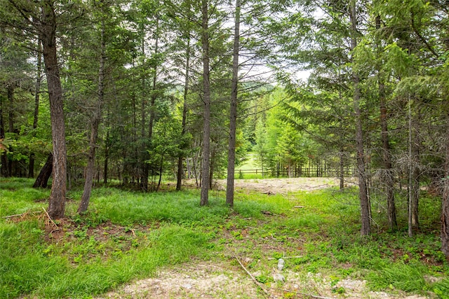 view of local wilderness