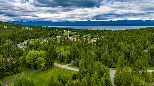 drone / aerial view with a water and mountain view