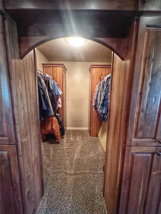 spacious closet featuring carpet