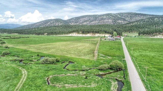 view of home's community with a mountain view and a rural view