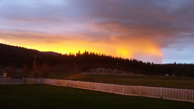 view of yard at dusk