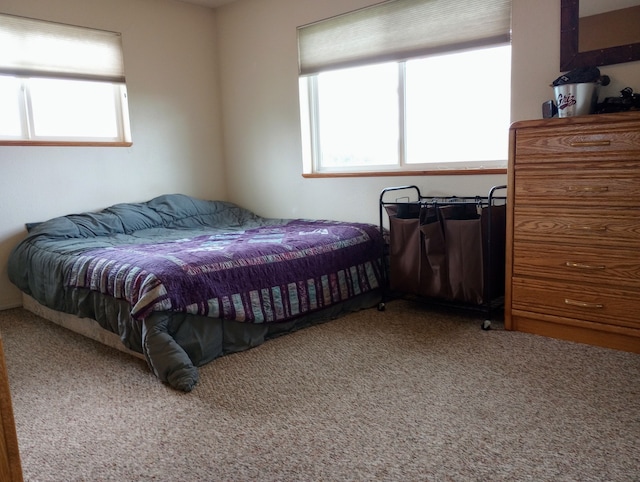 bedroom featuring light colored carpet and multiple windows