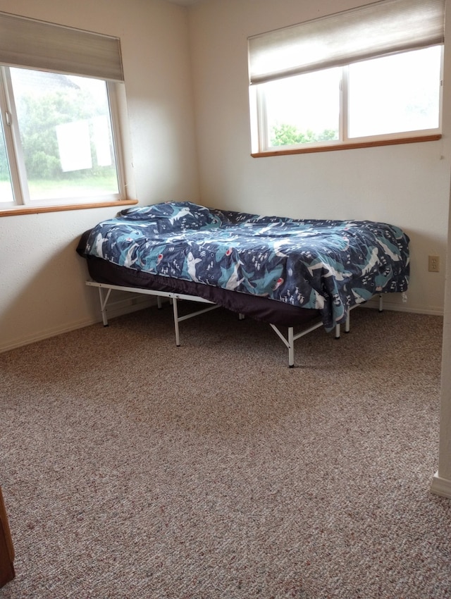 bedroom featuring carpet and multiple windows