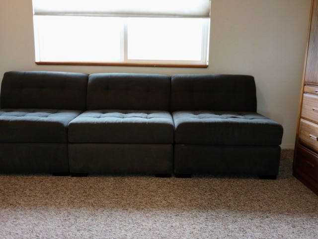 living room with carpet