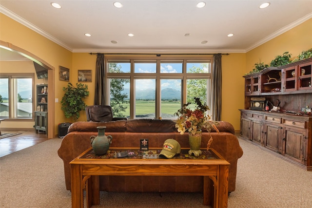 living room with light wood-type flooring and crown molding