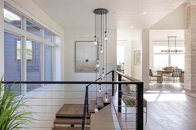 interior space featuring a wealth of natural light and hardwood / wood-style flooring