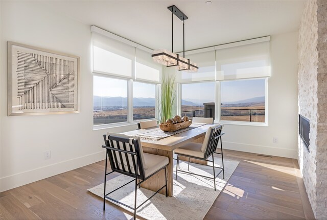 dining area with plenty of natural light, hardwood / wood-style flooring, and a fireplace