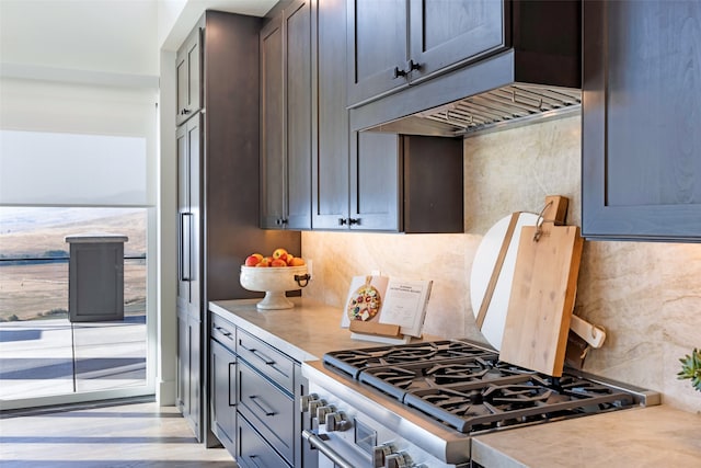 kitchen featuring stainless steel stove and custom exhaust hood