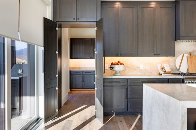 kitchen featuring stainless steel range oven, decorative backsplash, and dark hardwood / wood-style flooring