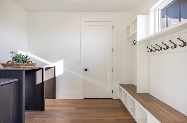 mudroom featuring hardwood / wood-style flooring