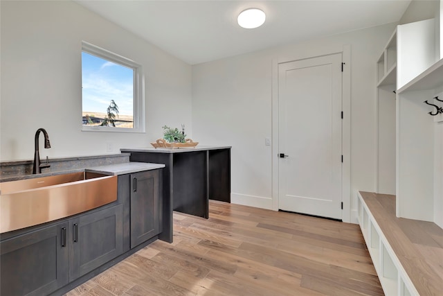 kitchen featuring light hardwood / wood-style floors and sink