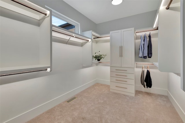 spacious closet featuring light colored carpet