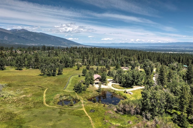 drone / aerial view with a mountain view