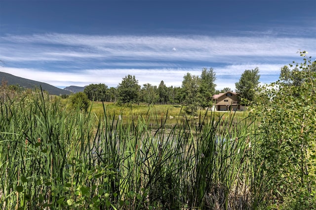 view of nature with a mountain view