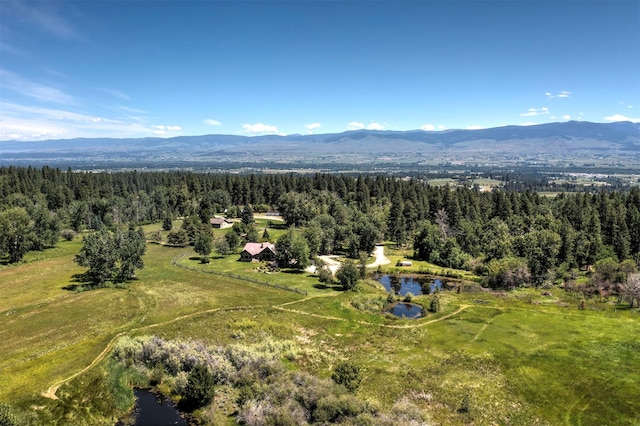 drone / aerial view featuring a water and mountain view