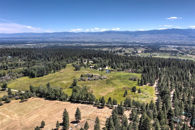 drone / aerial view featuring a mountain view