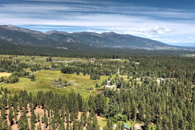 view of mountain feature