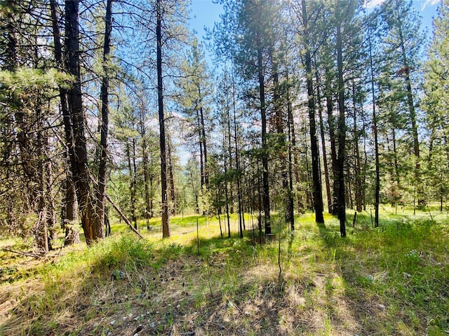 2890 Lower Lost Prairie Rd, Marion MT, 59925 land for sale