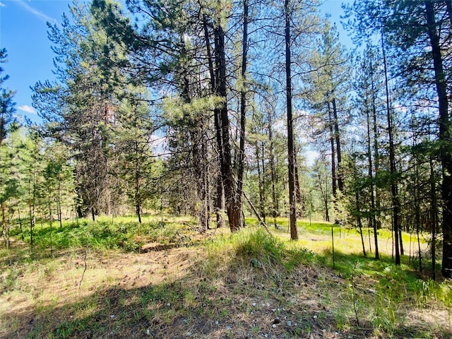 Listing photo 2 for 2890 Lower Lost Prairie Rd, Marion MT 59925