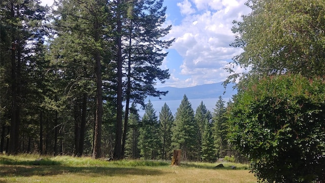 Listing photo 3 for 340 Panorama Hl, Bigfork MT 59911